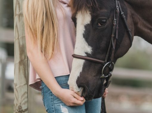For Horse Owners